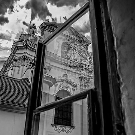 Penzion U Borovicku Litomerice Exterior photo