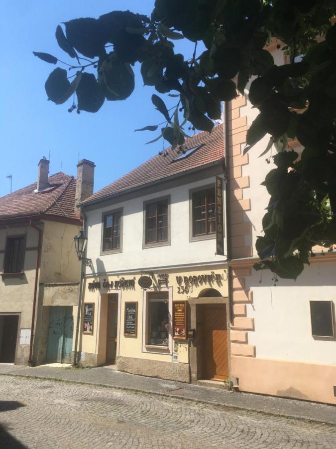 Penzion U Borovicku Litomerice Exterior photo